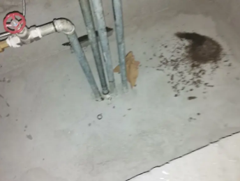 满洲里卫生间测漏水价格明细